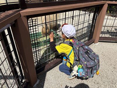 ガジマル保育園