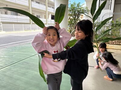 ガジマル保育園