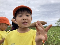 ガジマル保育園