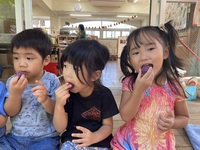 ガジマル保育園