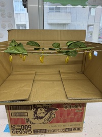 ガジマル保育園