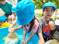 ガジマル保育園