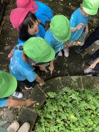 ガジマル保育園