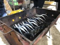 ガジマル保育園