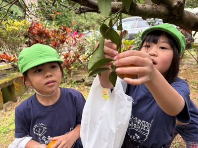 ガジマル保育園