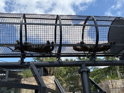 ガジマル保育園