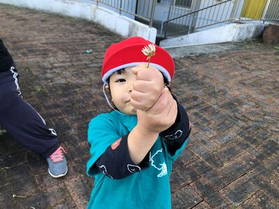 ガジマル保育園