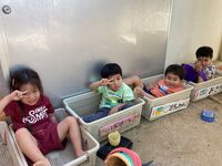 ガジマル保育園