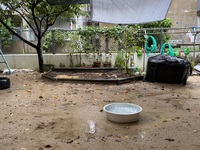 ガジマル保育園