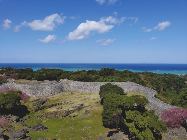 2026　桜まつり後　7