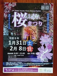 2026.1桜まつり ぽすたー