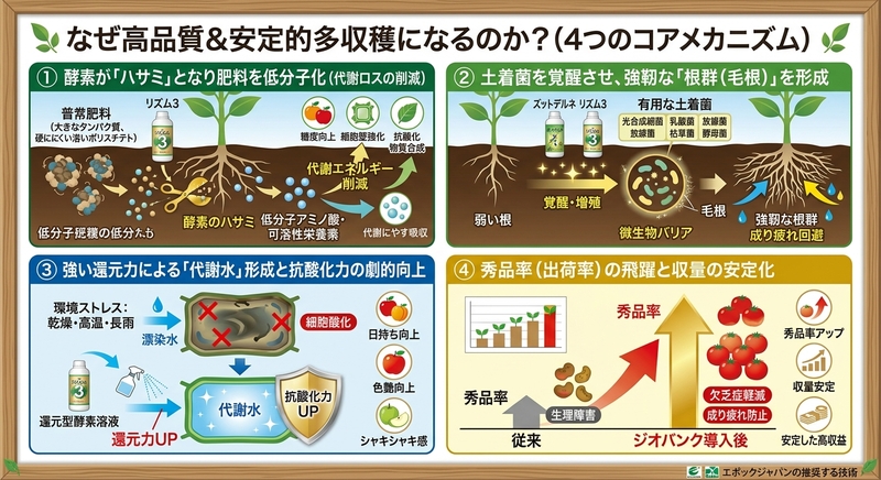 高品質に多収穫