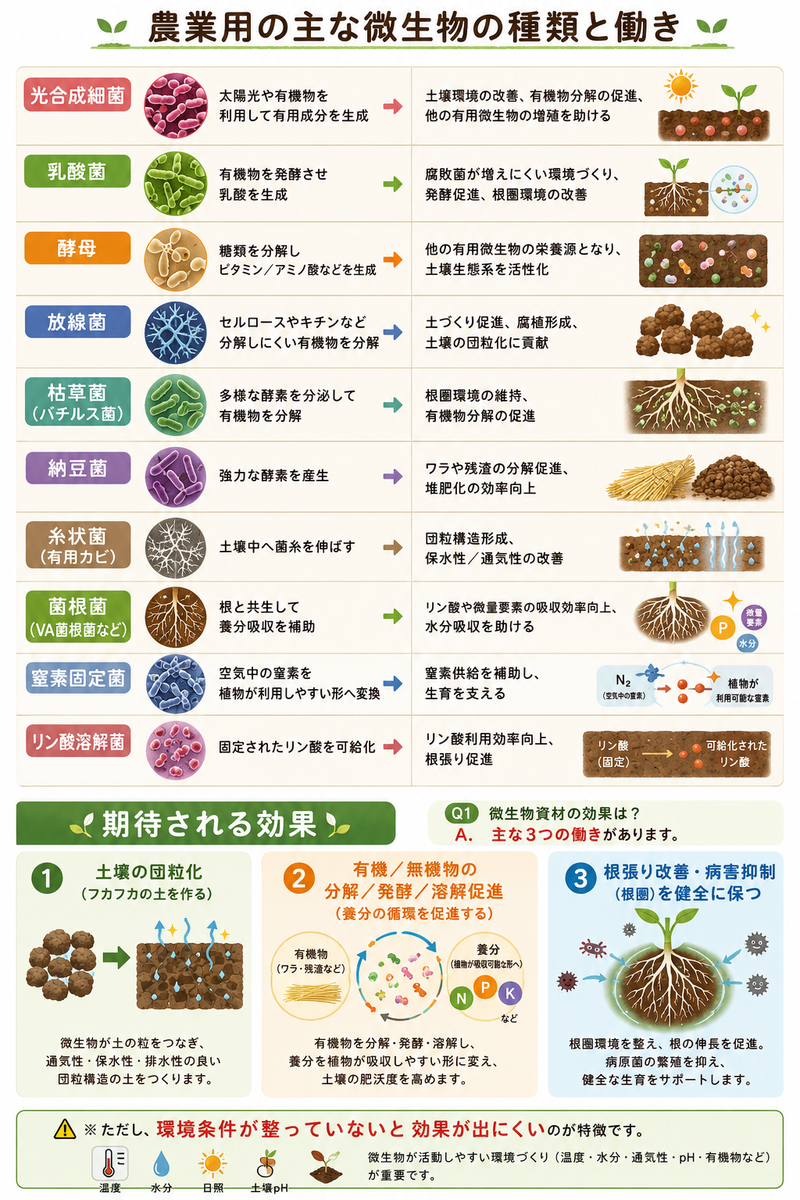 土作り微生物(土着菌/有用菌)について