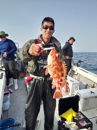 沖アラカブ
