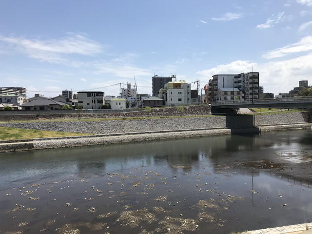 白川新屋敷地区築堤工事のうち護岸工他工事