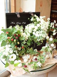 ウエルカムフラワー