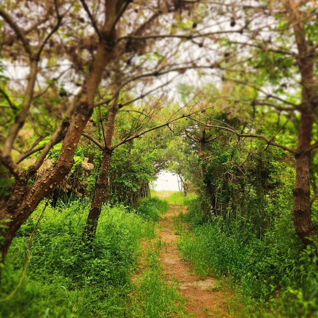 2025年8月20日-琵琶湖レイクサイドグランピング。開発作業が本格化してきました。琵琶湖では後発ならではの「マーケットイン型」プロデュースを心掛けます(滋賀県)