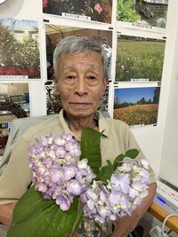 R8.6月「紫陽花」