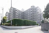 千葉県野田市　ローズハイツ野田愛宕（193戸）　雑排水管更新工事　令和6年3月7日～令和6年5月31日（二次下請）