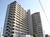 千葉県長生郡　フラワーパレス白子（258戸）　排水管更新工事　平成28年4月1日～6月30日（二次下請）