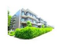 千葉県市川市　エステ・コート市川北国分（124戸）　給水方式変更工事　令和元年7月16日～令和元年9月14日（一次下請）