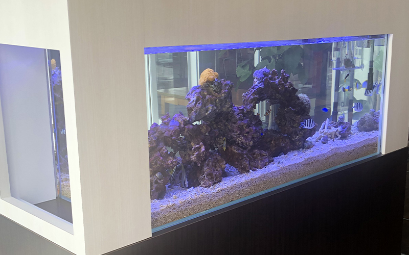 テスト2 テスト2